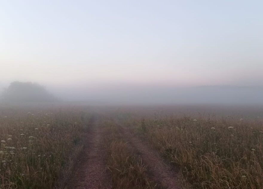 Тверских любителей бега приглашают в путешествие по ночной Чуприяновке с фонарями Тверских любителей бега приглашают в путешествие по ночной Чуприяновке с фонарями