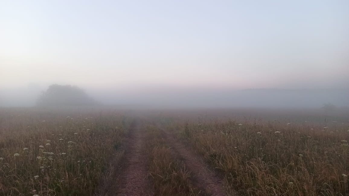 Тверских любителей бега приглашают в путешествие по ночной Чуприяновке с фонарями