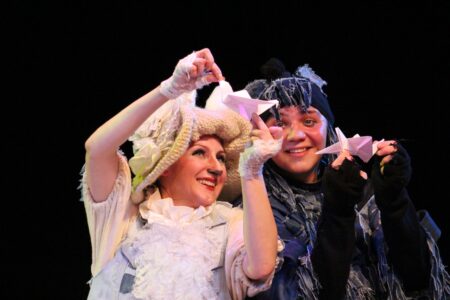 В Вышневолоцком театре состоялась детская премьера "Влюбленной Козы"