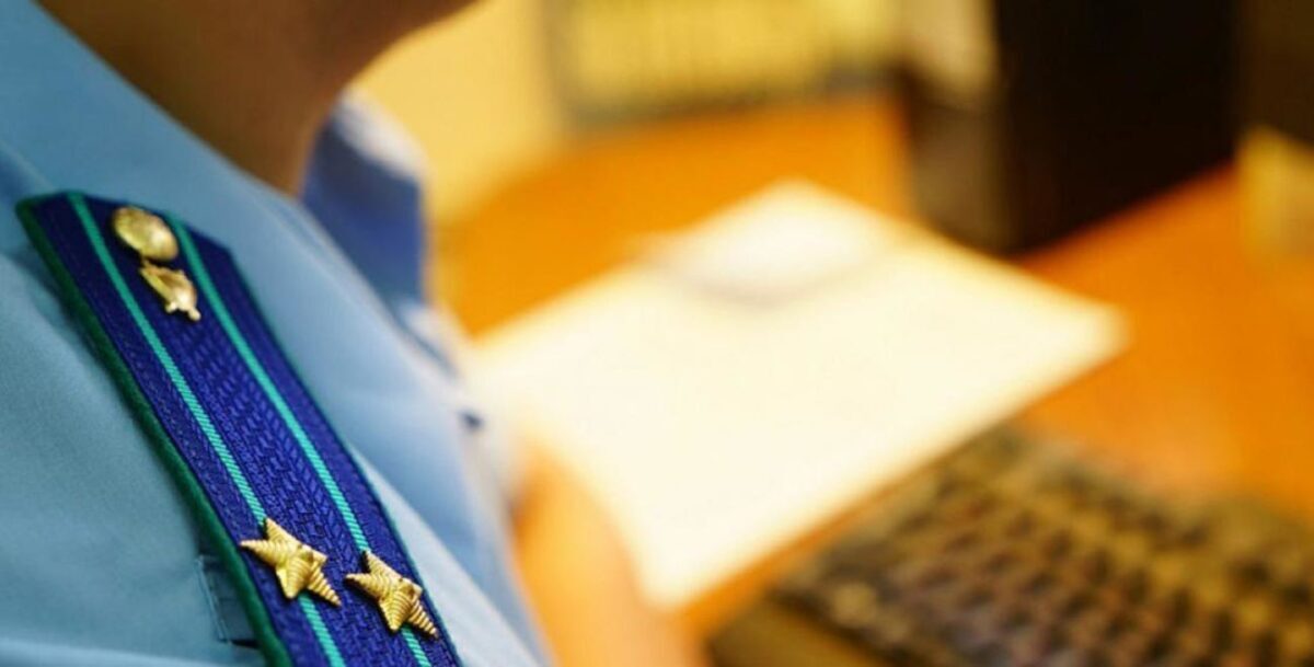 Пожилые супруги в Тверской области насмерть забили котят молотком