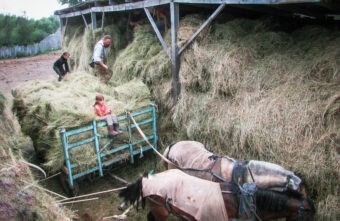 В Тверской области выберут лучшие семейные подворья