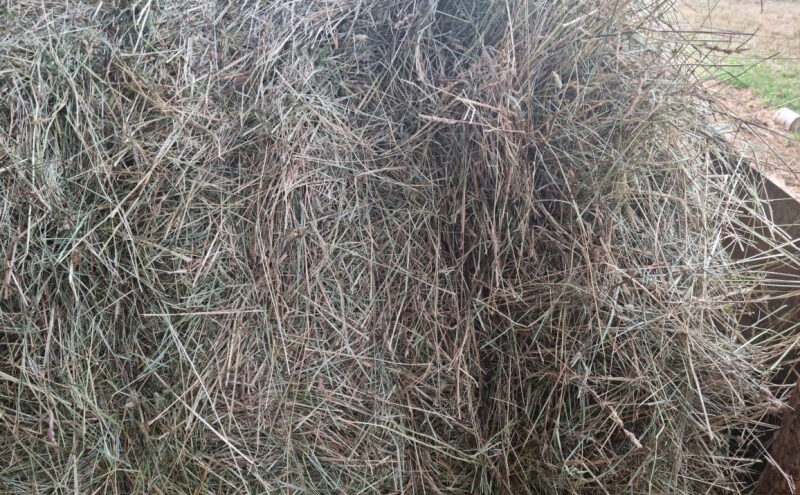 С поля в Тверской области пропало сено