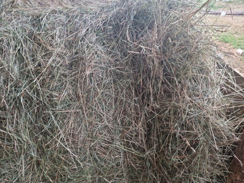 С поля в Тверской области пропало сено