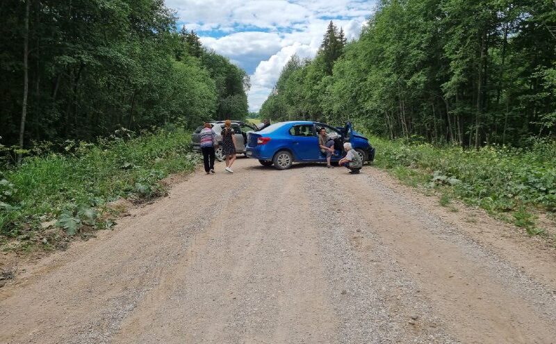 Два Renault не поделили дорогу в Тверской области