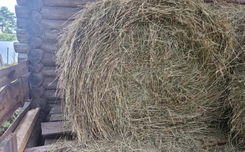В Тверской области по горячим следам раскрыли кражу сена