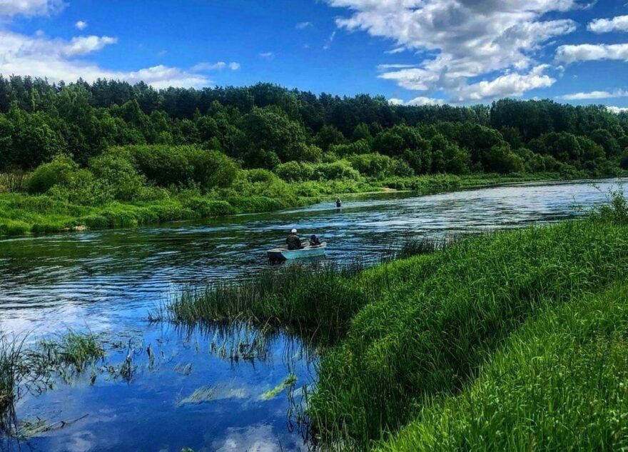 В Верхневолжье в ближайшие часы пройдут грозы и ливневые дожди