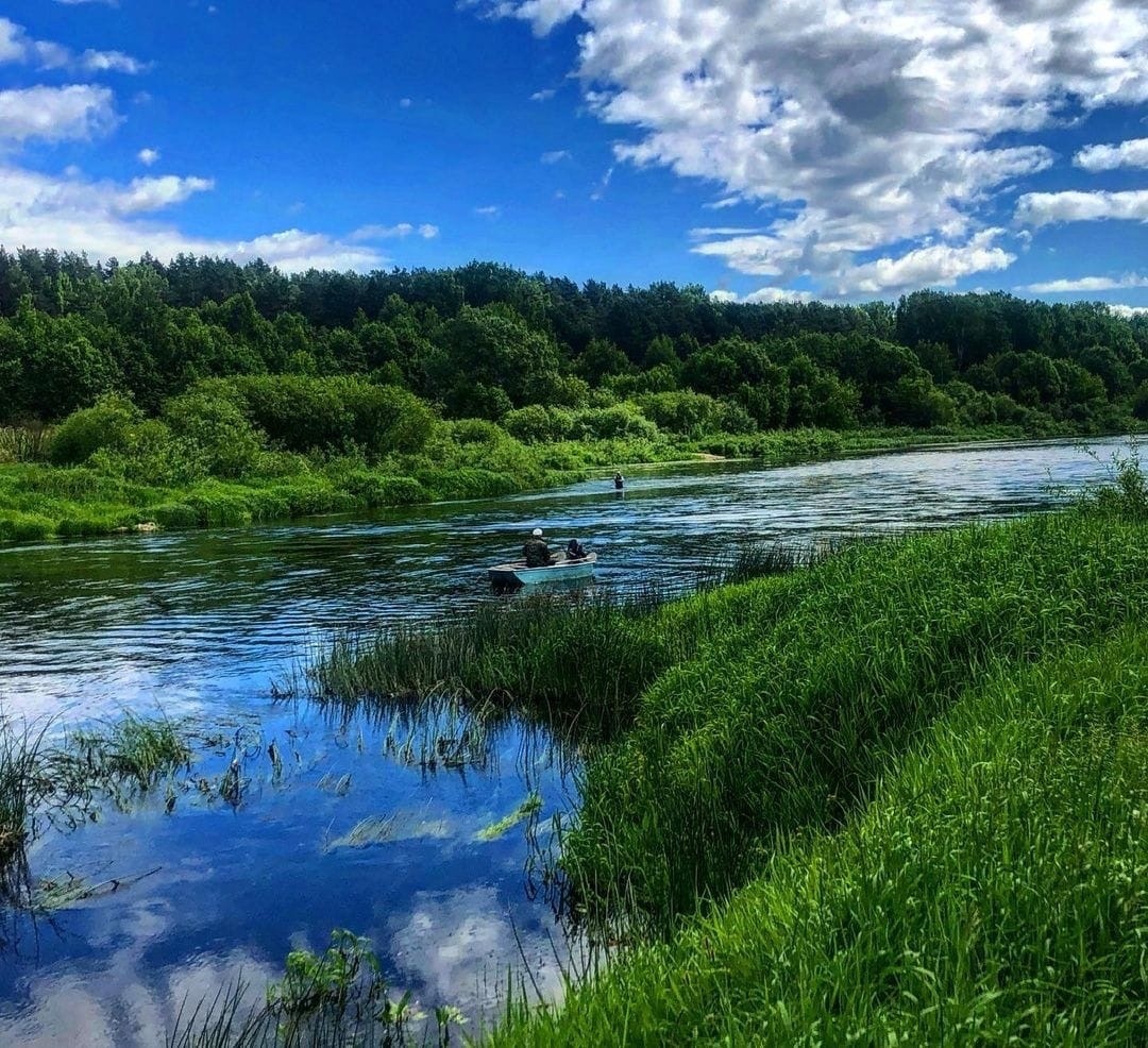 В Верхневолжье в ближайшие часы пройдут грозы и ливневые дожди