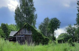 В Тверской области задержали подростка, подозреваемого в покушении на убийство девочки