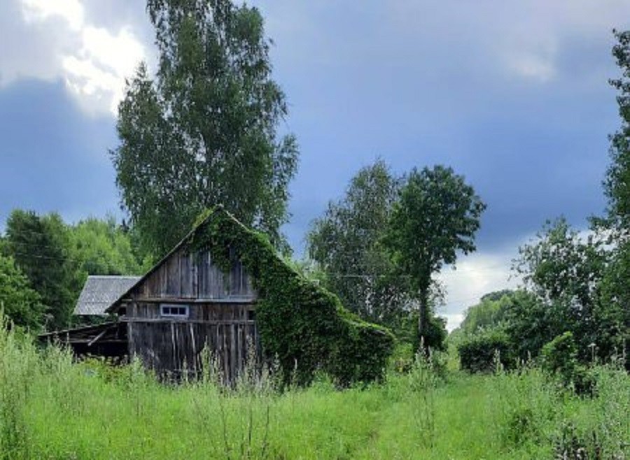 В Тверской области задержали подростка, подозреваемого в покушении на убийство девочки
