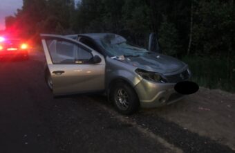 Лось попал под колёса иномарки в Тверской области Лось попал под колёса иномарки в Тверской области