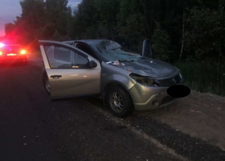 Лось попал под колёса иномарки в Тверской области