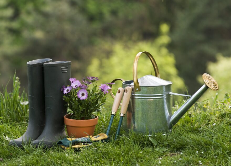 В Тверской области молодой вор обокрал жительницу Москвы