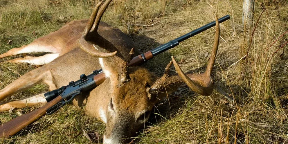 За запрещенную охоту браконьеру из Тверской области грозит лишение свободы