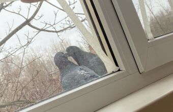 «И в этот момент в дом прилетел снаряд»: девушка из Донбасса рассказала о жизни до и после