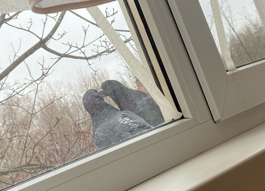 «И в этот момент в дом прилетел снаряд»: девушка из Донбасса рассказала о жизни до и после «И в этот момент в дом прилетел снаряд»: девушка из Донбасса рассказала о жизни до и после