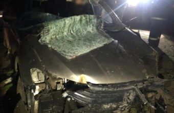 Два человека пострадали в ДТП с участием лося в Тверской области