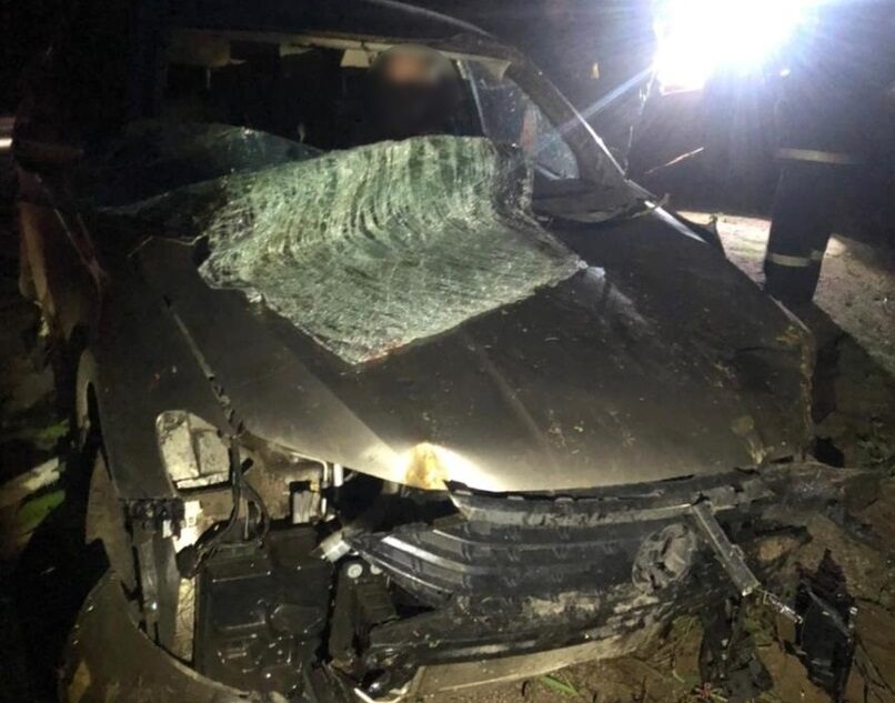 Два человека пострадали в ДТП с участием лося в Тверской области Два человека пострадали в ДТП с участием лося в Тверской области