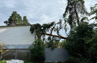 Поваленные деревья, "пленённые" автомобили: под Тверью ликвидируют последствия бури