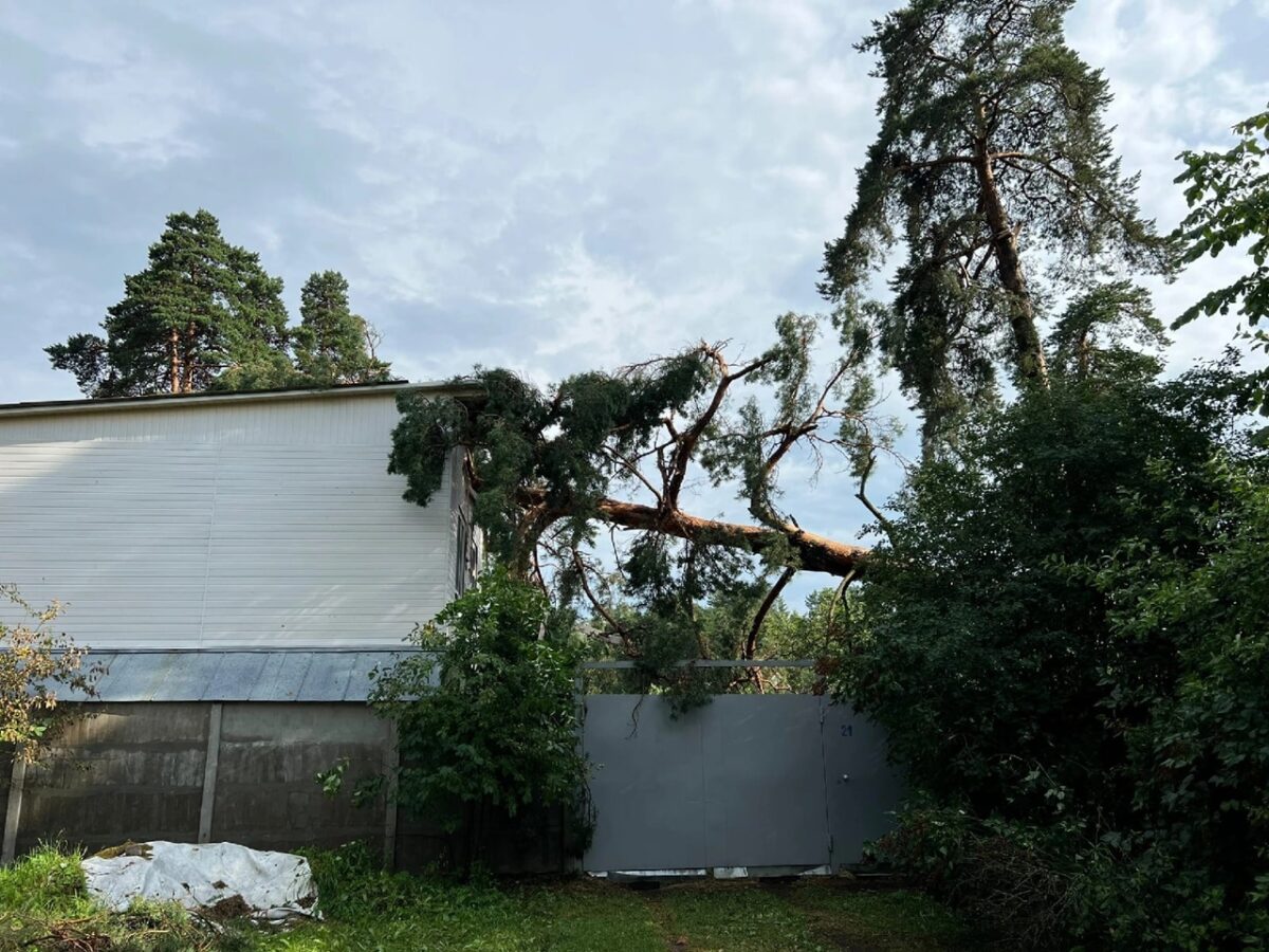 Поваленные деревья, "пленённые" автомобили: под Тверью ликвидируют последствия бури