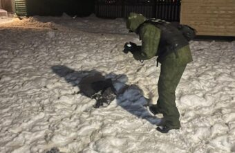 В Тверской области осудили женщину, 6-летнего сына которой загрызли собаки