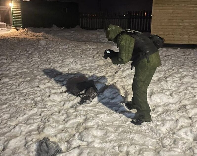 В Тверской области осудили женщину, 6-летнего сына которой загрызли собаки В Тверской области осудили женщину, 6-летнего сына которой загрызли собаки