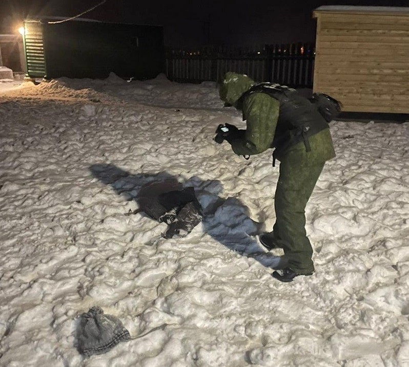 В Тверской области осудили женщину, 6-летнего сына которой загрызли собаки