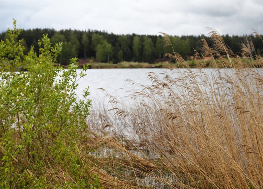 Тело пожилого мужчины нашли в реке в Тверской области