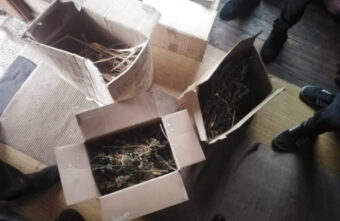 Почти 2 килограмма конопли нашли дома у жителя Тверской области