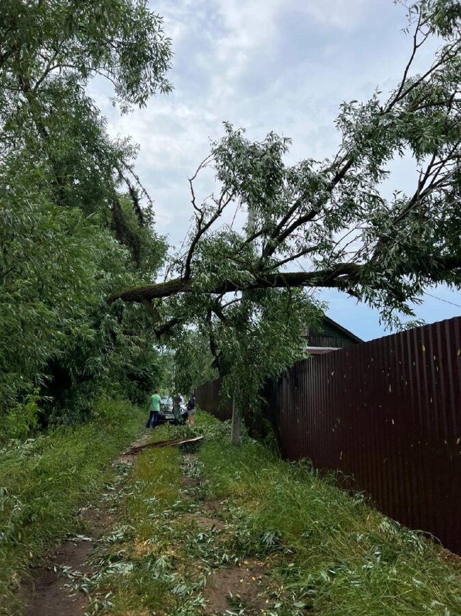 Поваленные деревья, "пленённые" автомобили: под Тверью ликвидируют последствия бури