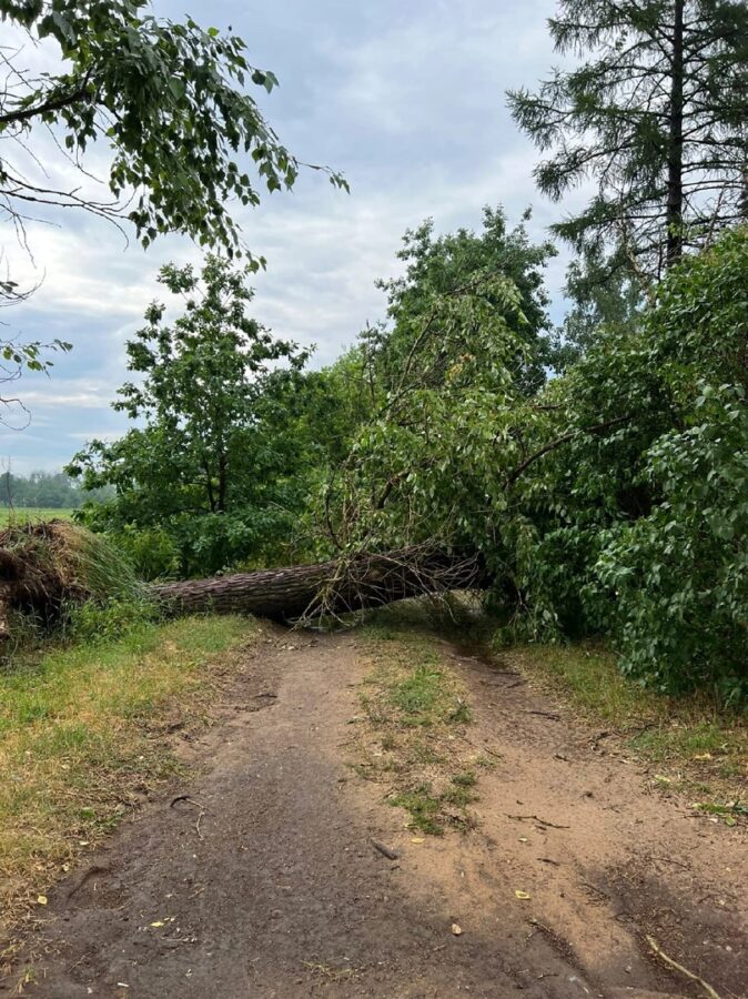 Поваленные деревья, "пленённые" автомобили: под Тверью ликвидируют последствия бури