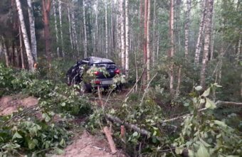 Три человека пострадали в столкновении Kia и дерева в Тверской области