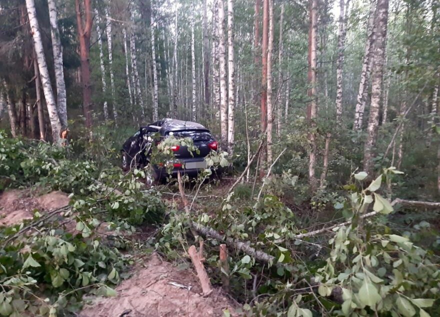 Три человека пострадали в столкновении Kia и дерева в Тверской области Три человека пострадали в столкновении Kia и дерева в Тверской области