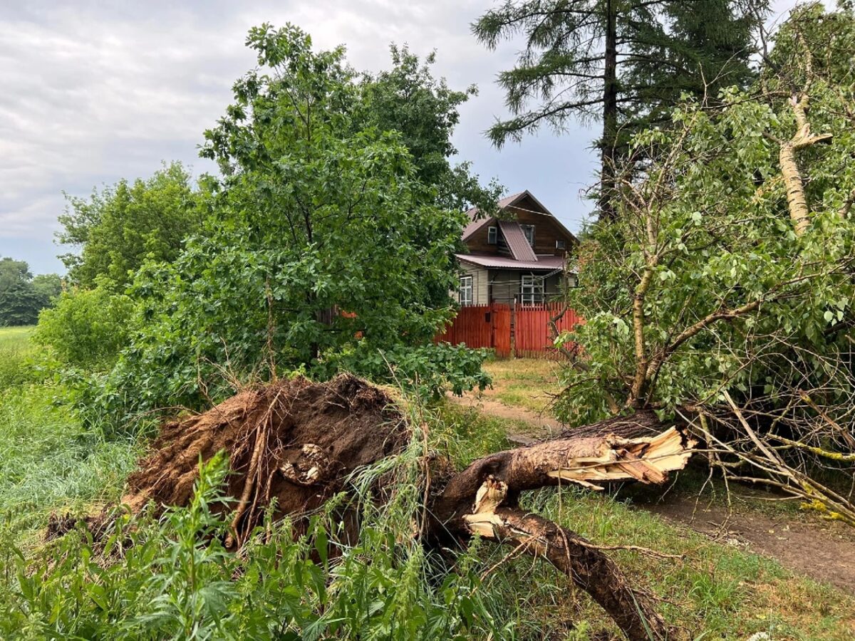 Поваленные деревья, "пленённые" автомобили: под Тверью ликвидируют последствия бури