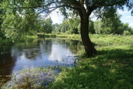 Тело погибшего мужчины нашли в водоёме в Тверской области Тело погибшего мужчины нашли в водоёме в Тверской области