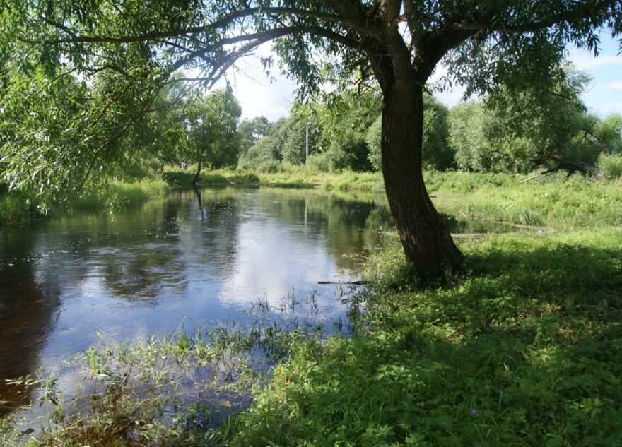Тело погибшего мужчины нашли в водоёме в Тверской области