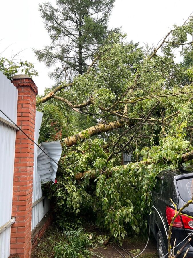 Поваленные деревья, "пленённые" автомобили: под Тверью ликвидируют последствия бури