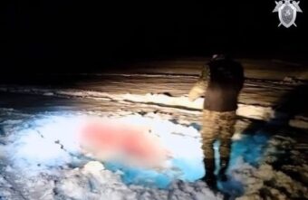 По убийству лосихи в Тверской области прокуратура подала апелляцию