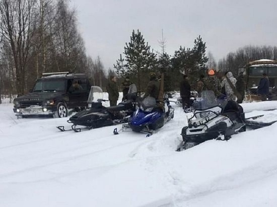 Мужчины, жестоко убившие беременную лосиху в Тверской области, не понесут наказания Мужчины, жестоко убившие беременную лосиху в Тверской области, не понесут наказания