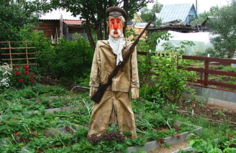 С дачи москвича в Тверской области воры вывезли всё имущество С дачи москвича в Тверской области воры вывезли всё имущество