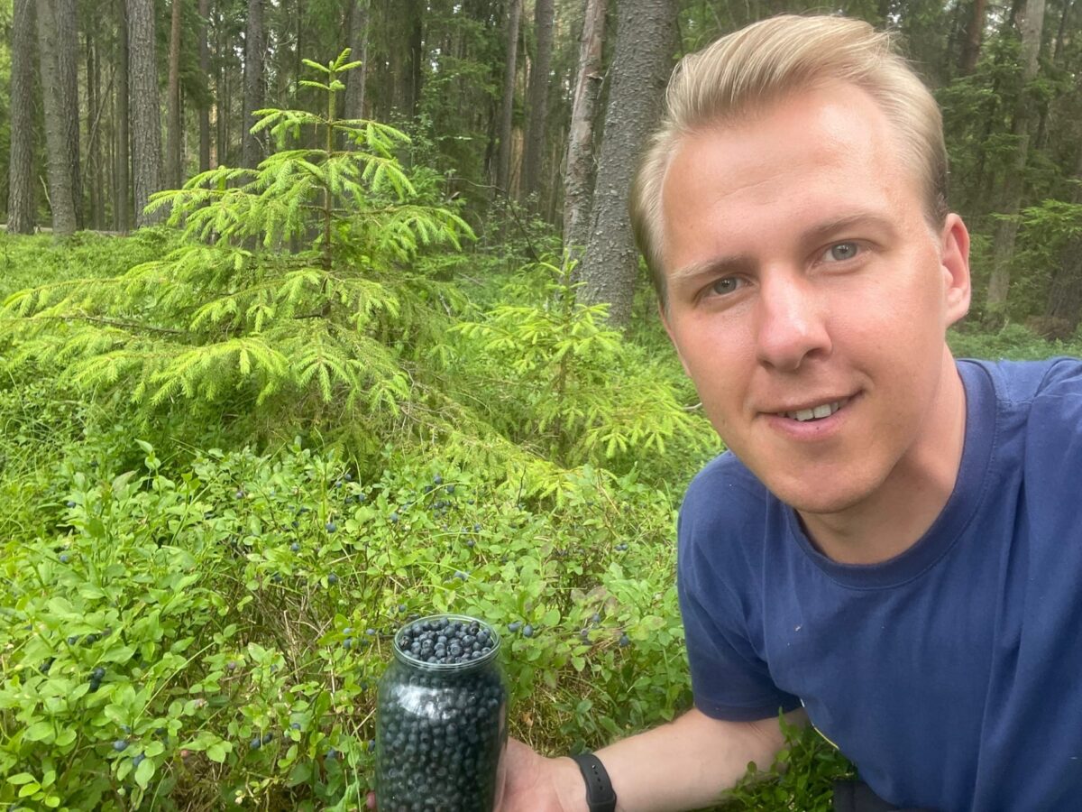 В лесах Тверской области пошли ягоды и грибы  