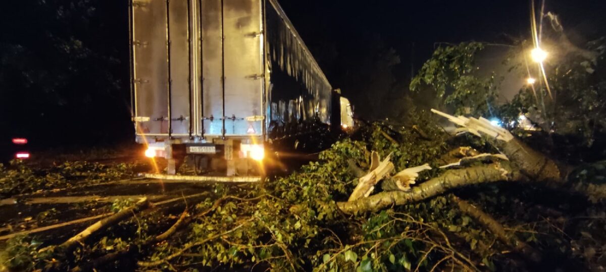 Очередное предупреждение МЧС: буйство непогоды в Тверской области продолжается