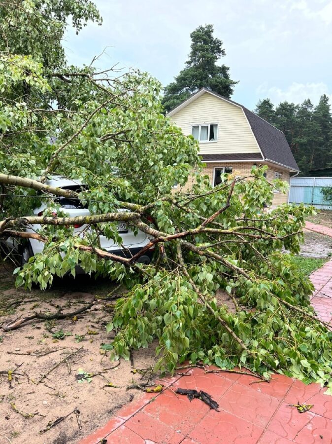 Поваленные деревья, "пленённые" автомобили: под Тверью ликвидируют последствия бури
