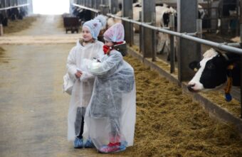 Школьники Тверской области могут подработать летом в сельском хозяйстве