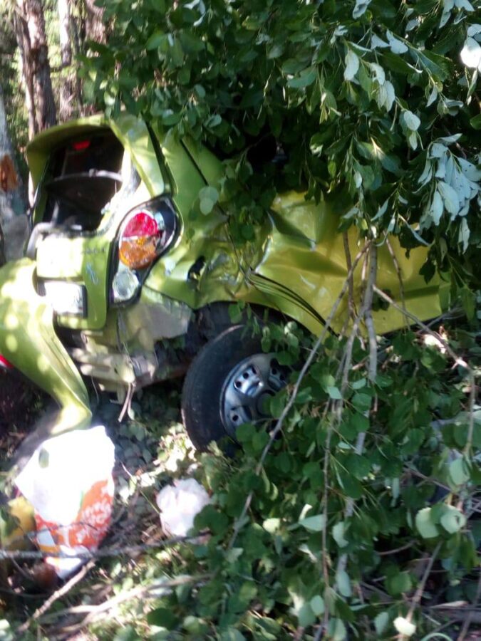 Женщина на «Шевроле» врезалась в дерево на трассе в Тверской области