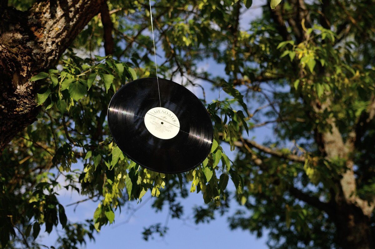 В Тверской области можно сфотографироваться в старинном экипаже и послушать Утёсова на патефоне