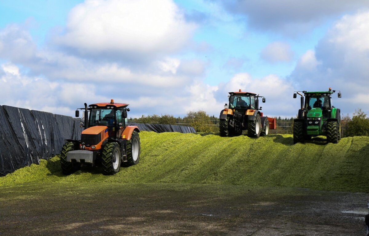 Заготовка кормов набирает обороты в хозяйствах Тверской области