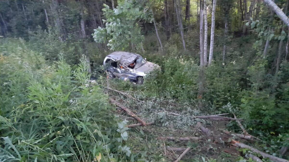 28-летняя девушка погибла в жутком ДТП в Тверской области | ТОП Тверь  новости