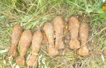 7 миномётных мин обезвредили в Тверской области