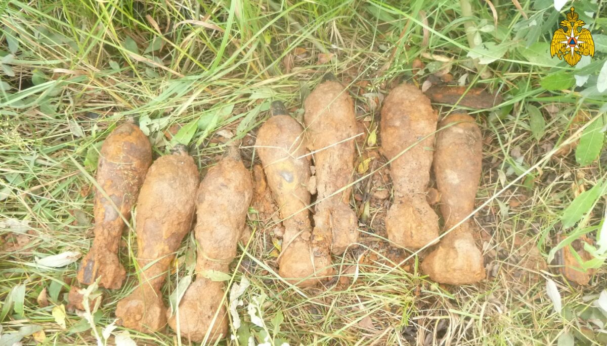 7 миномётных мин обезвредили в Тверской области