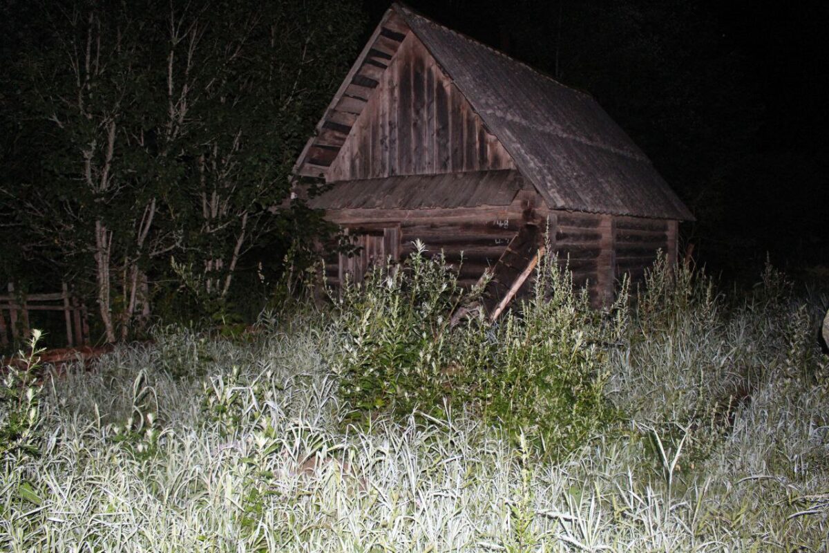 В Тверской области подросток попытался убить 9-летнюю девочку